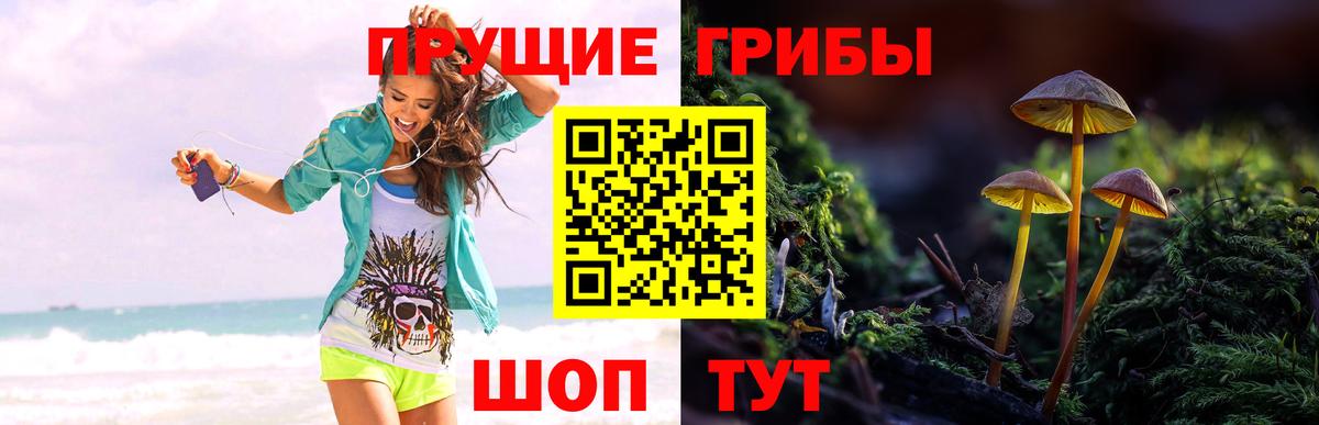 Галлюциногенные грибы прущие грибы  Псилоцибиновые грибы Psilocybe  Вход с VPN  продажа наркотиков  Михайловка 
